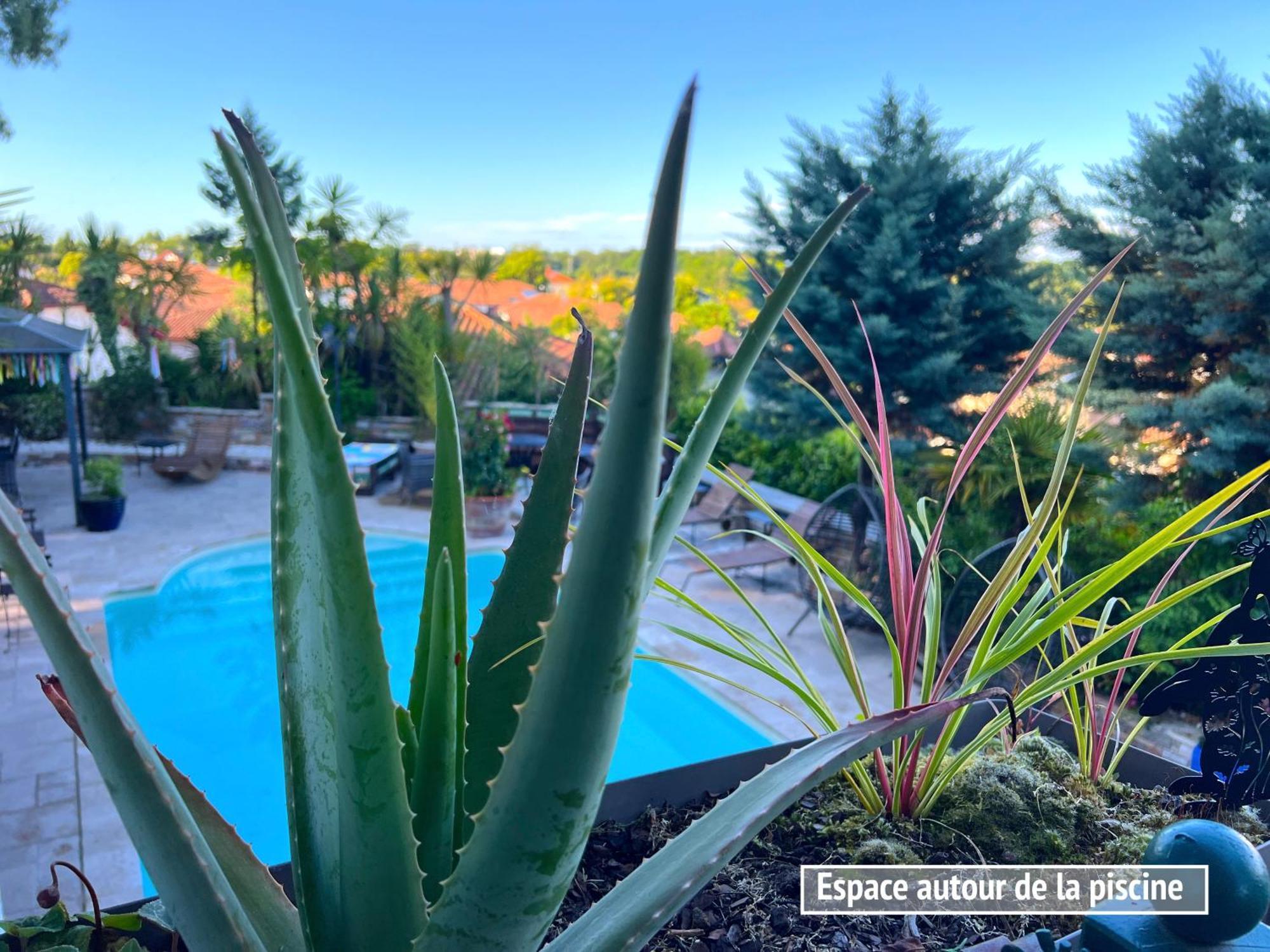Villa Merkel - 27 Pers - 11 Chambr - 10 Wc - Piscine Anglet Luaran gambar